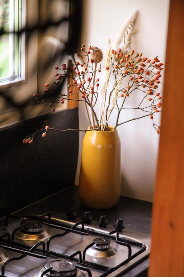 Wijngaard Saalhof Bed and Breakfast Wognum Εξωτερικό φωτογραφία